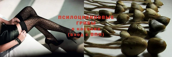 крисы Абаза