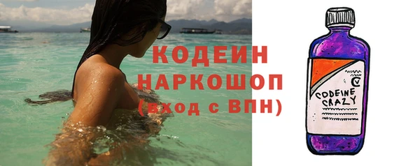 крисы Абаза