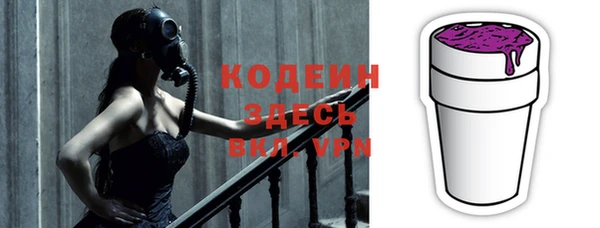 крисы Абаза