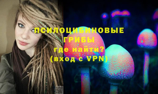 крисы Абаза