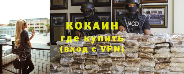 крисы Абаза