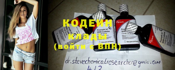 крисы Абаза